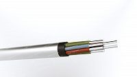 Кабель АКРВБбГ 10х6