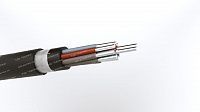 Кабель АКВВГЭнг 10х4